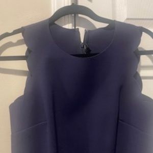 J Crew Navy Dress